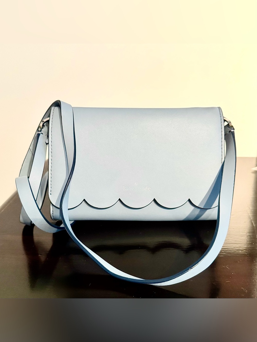 Kate Spade Magnolia Street Izabella Crossbody Clutch in Light Blue.